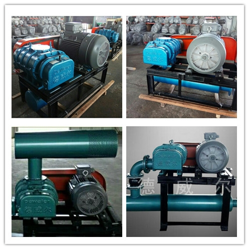 密集型羅茨風(fēng)機(jī)展示